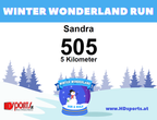 Winter Wonderland Run (inkl. Medaille & Goodies)