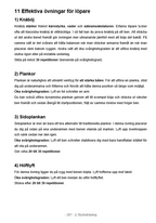 Den stora löparboken med träningsprogram
