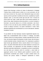 Eliud Kipchoge - Il primo uomo a correre una maratona in meno di 2 ore