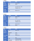 Das große Laufbuch der Trainingspläne